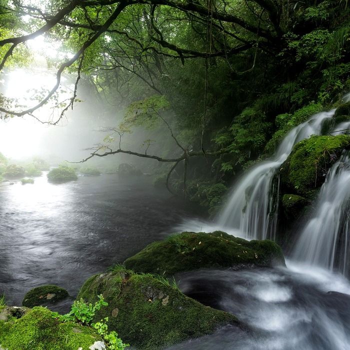 아쿠타가와 류노스케