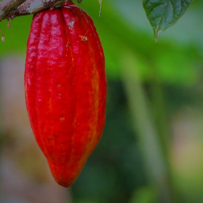 카카오톡 로그아웃