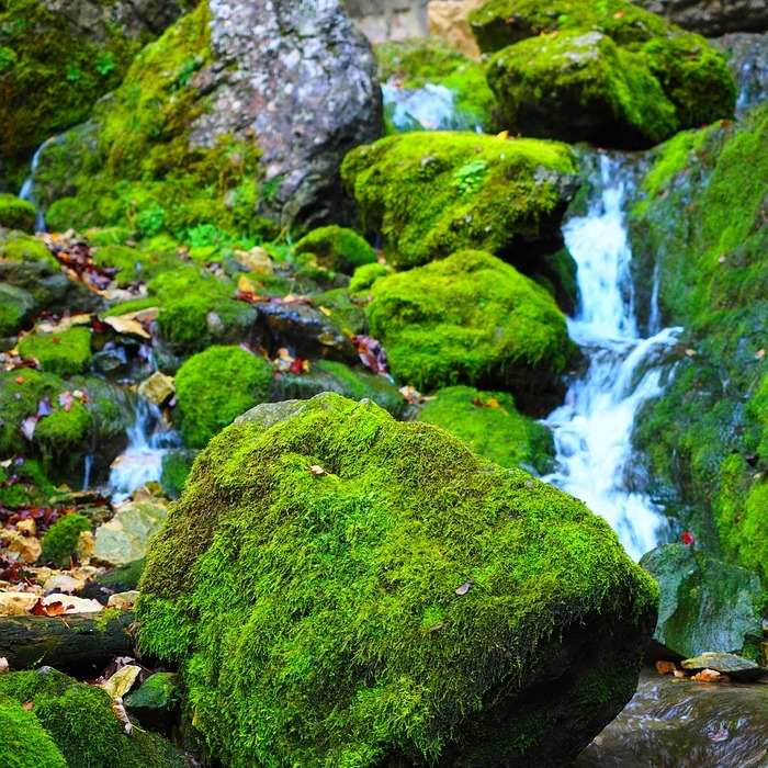 자율신경실조증 증상