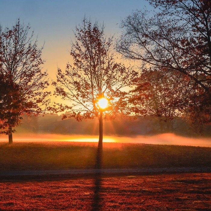 일출 석양 풍경