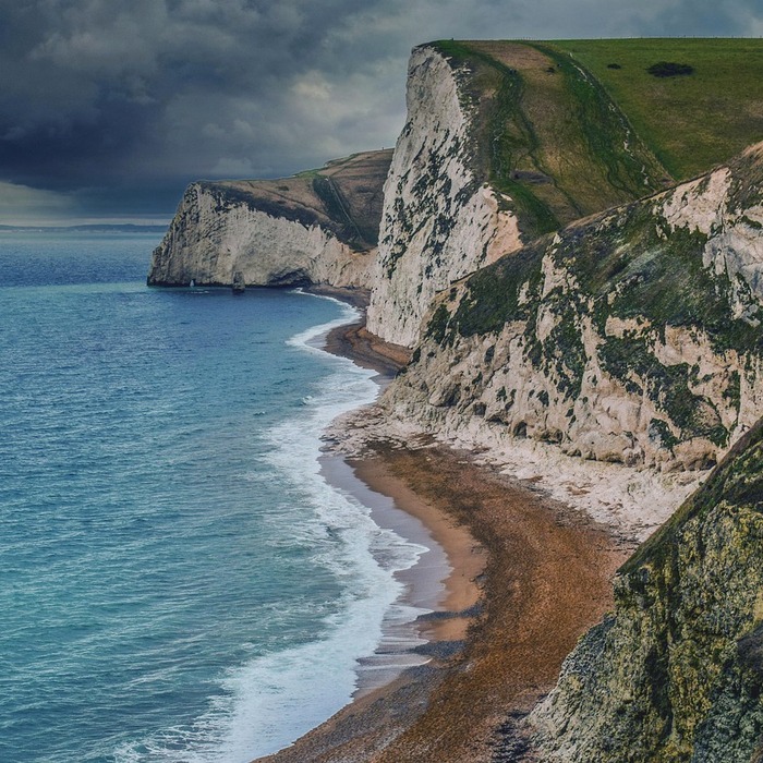 쥬라기 공원 어트랙션