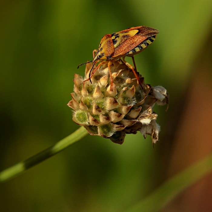 기생충 예방 방법