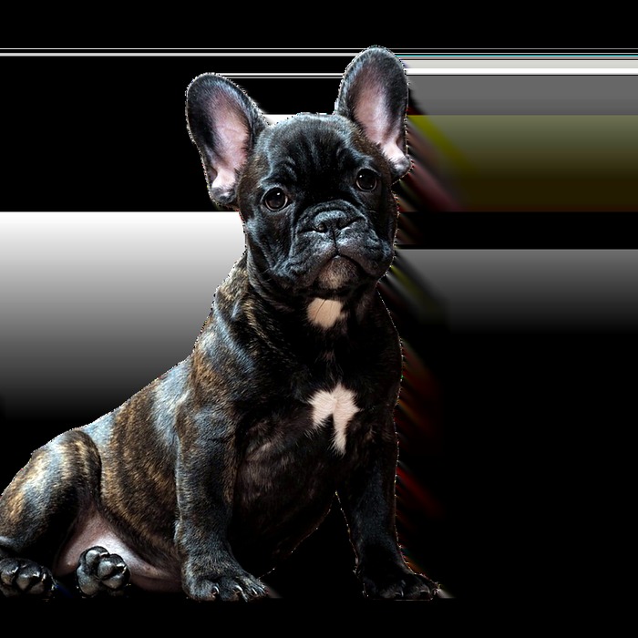 하객 축하 모습