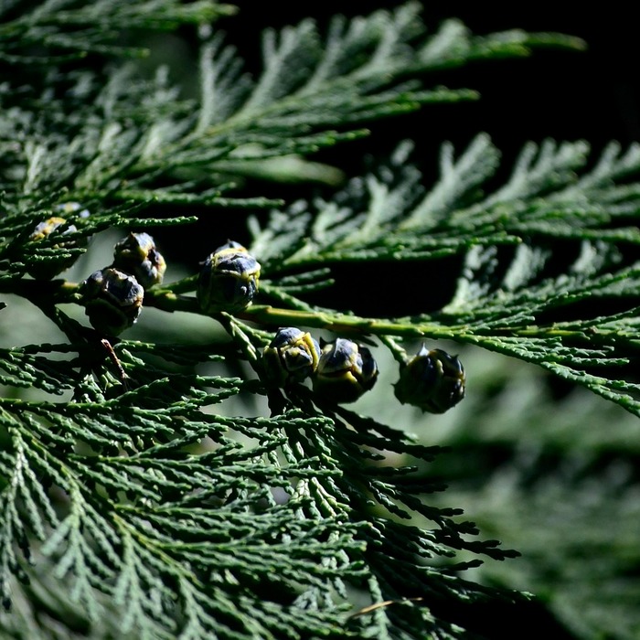 투자 전략 조정