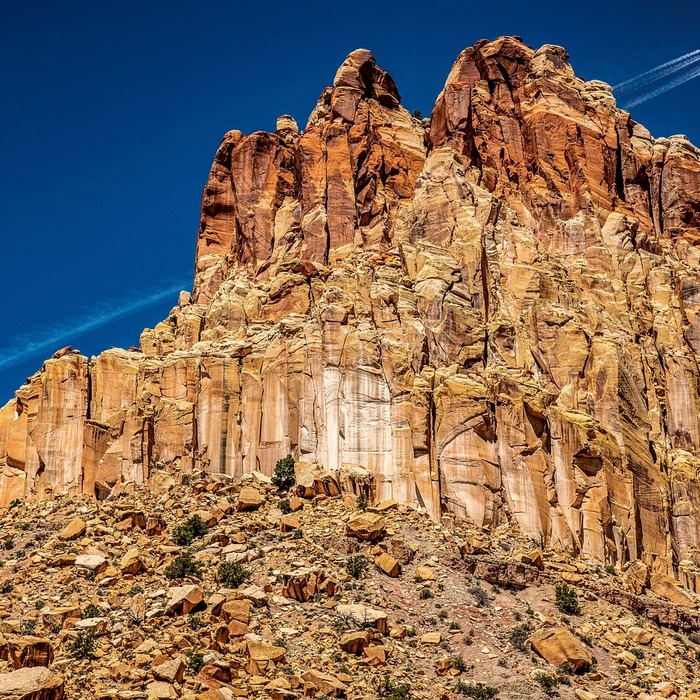 신한캐피탈 비전