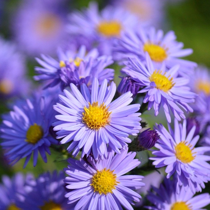 고객 중심 가치