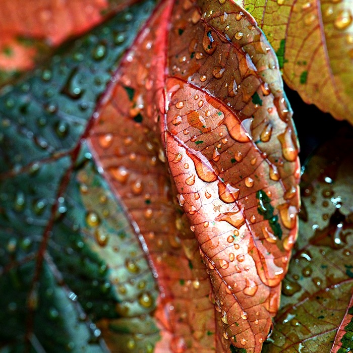 혼합 장치 종류