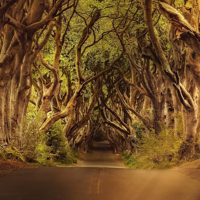 헤지스 가방 트렌드