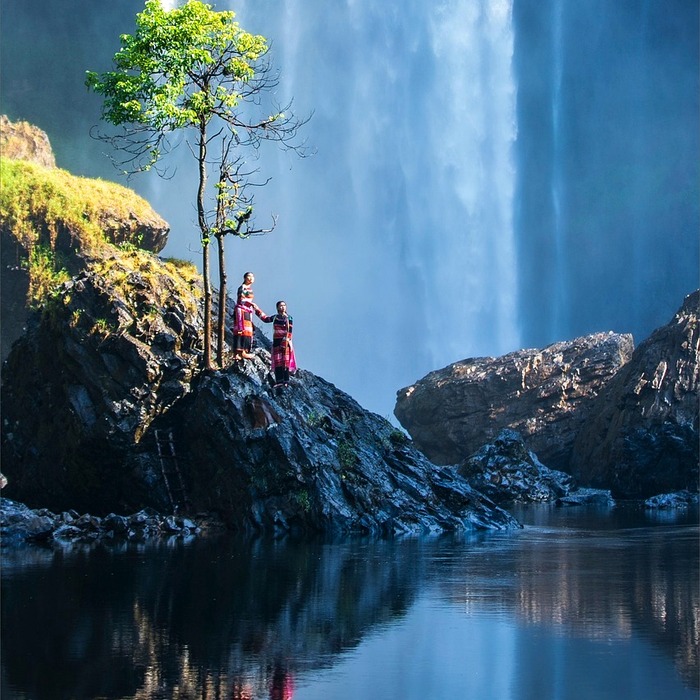 예정고지 대상자