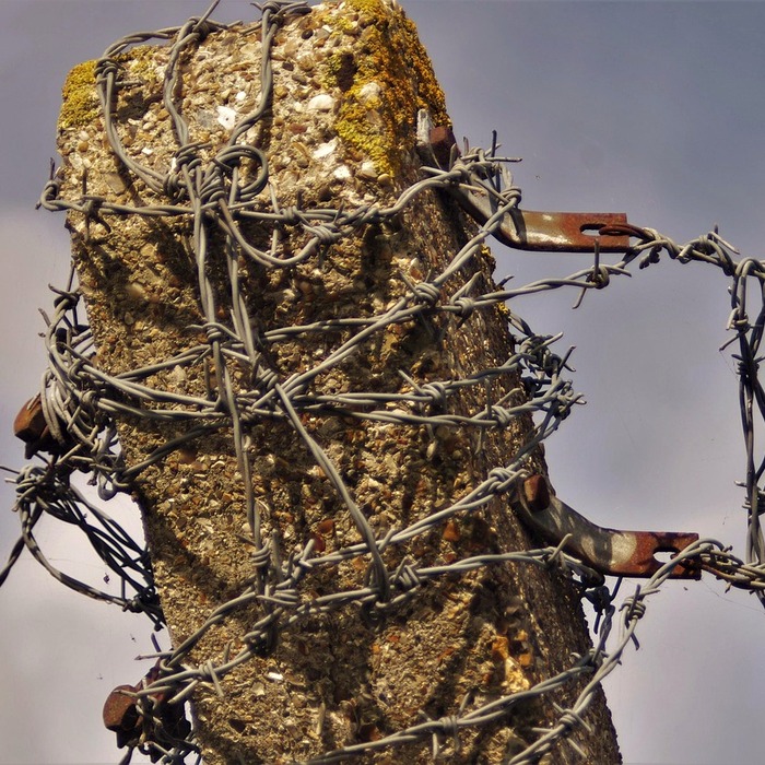 이메일 가입 절차