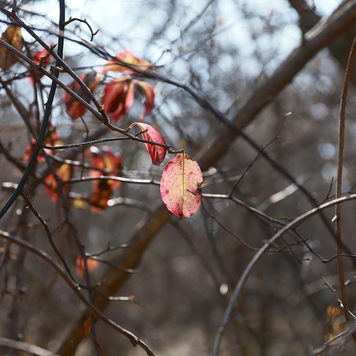 전남 생활체육 대축전