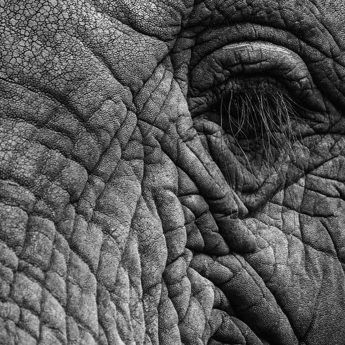 피부 염증 완화