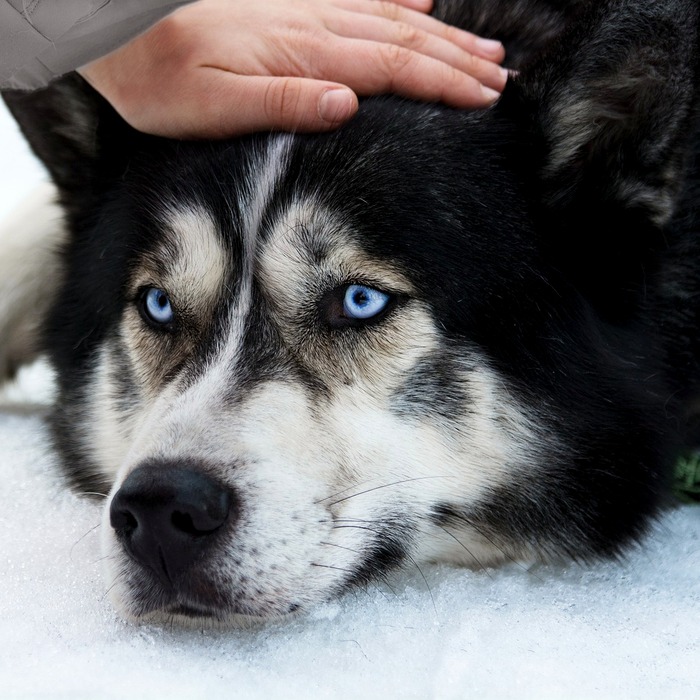 뇌졸중 시력 손실