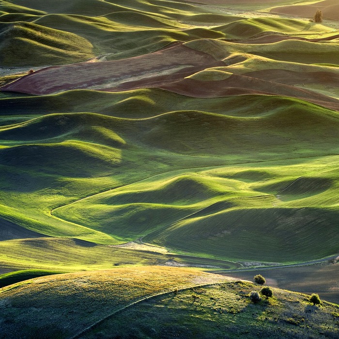 얼굴 한쪽 마비