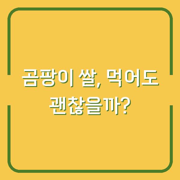 곰팡이 쌀, 먹어도 괜찮을까?