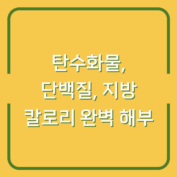 탄수화물, 단백질, 지방 칼로리 완벽 해부