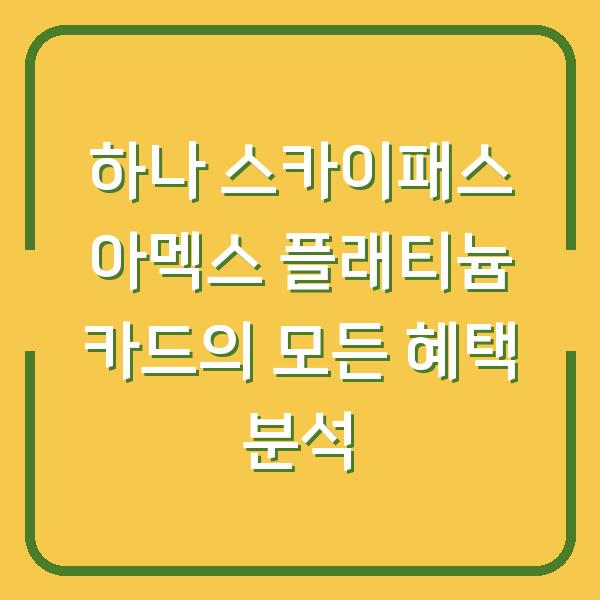 하나 스카이패스 아멕스 플래티늄 카드의 모든 혜택 분석