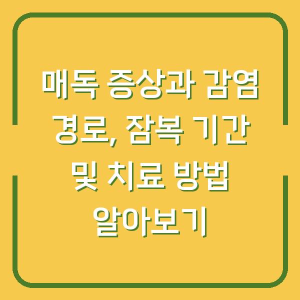 매독 증상과 감염 경로, 잠복 기간 및 치료 방법 알아보기
