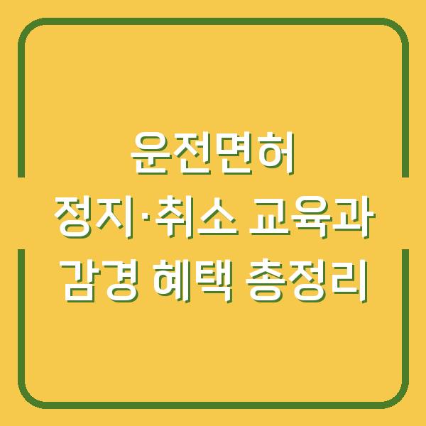운전면허 정지·취소 교육과 감경 혜택 총정리