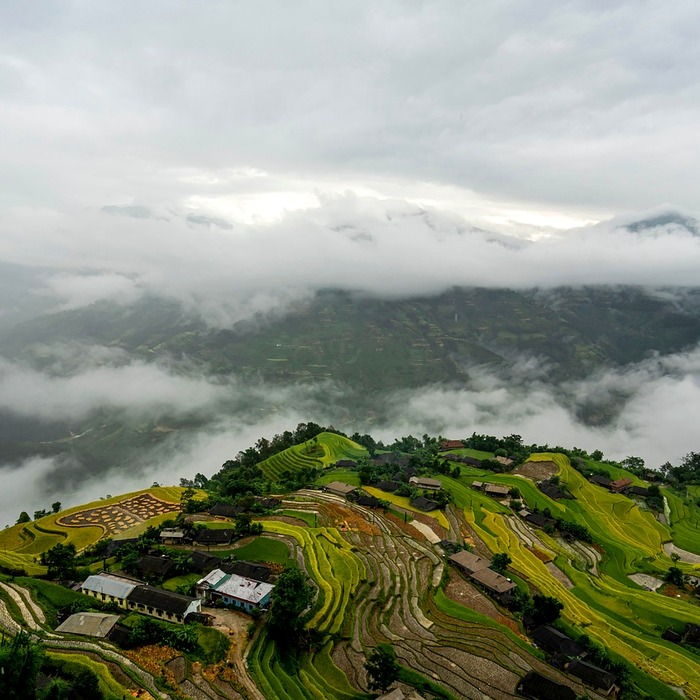 카드 등록 단계