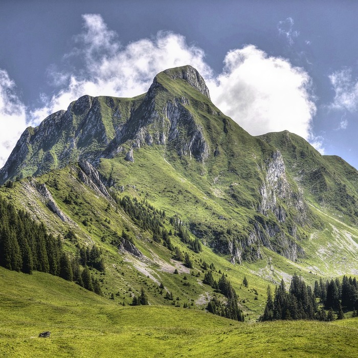 건강 목표 예시