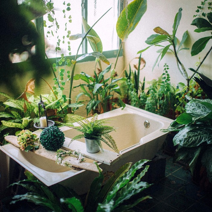 불법 전환 현황