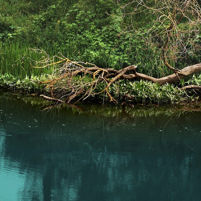 정품 라이선스 키