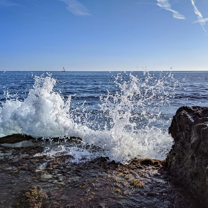 특별할증 ZZZ 그룹