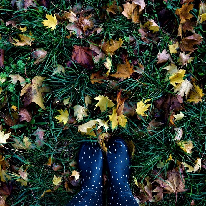 고무 패킹 교체