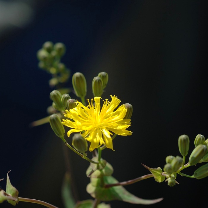 재개발 지역 특징