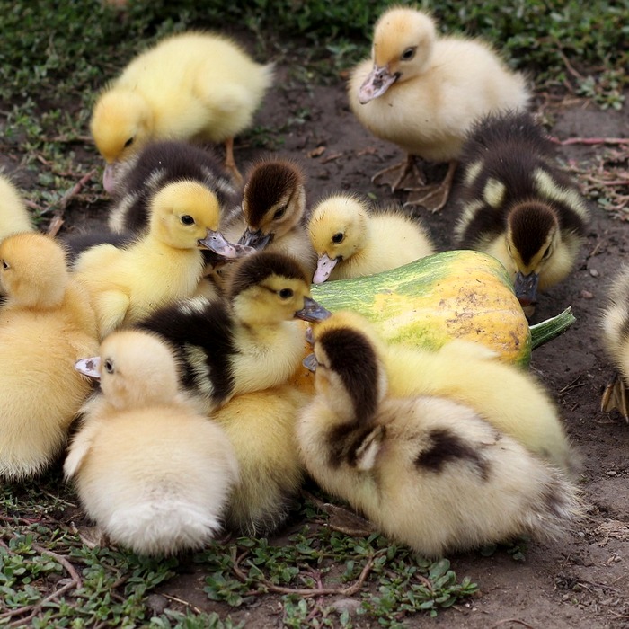 무이자 할부 혜택