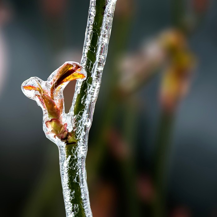비수술적 치료 장점