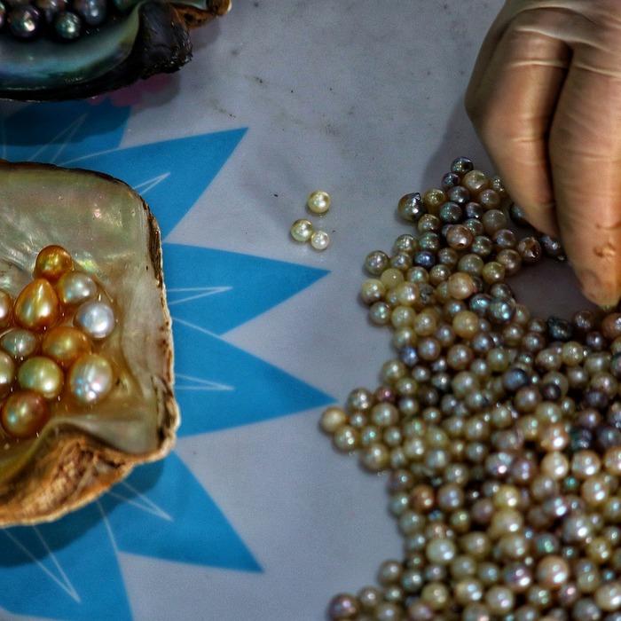 마데카크림 종류