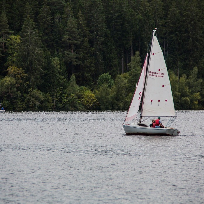 피부 진정 효과