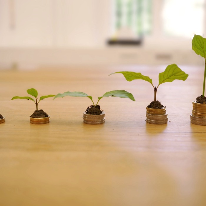 창업 비용 분석