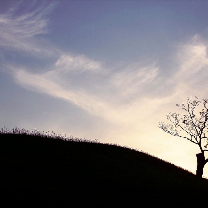 올림픽공원 테니스장