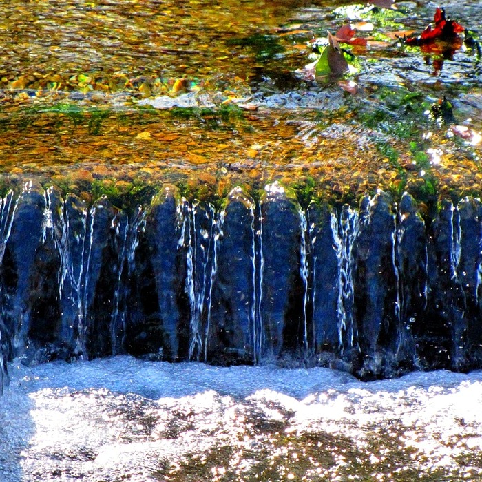 천연 배수구 클리너