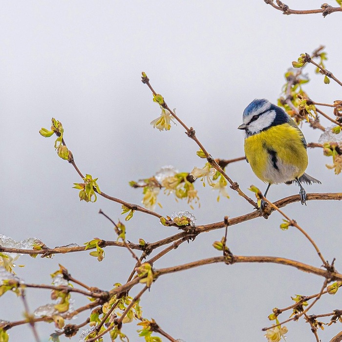 오른쪽 가슴 통증