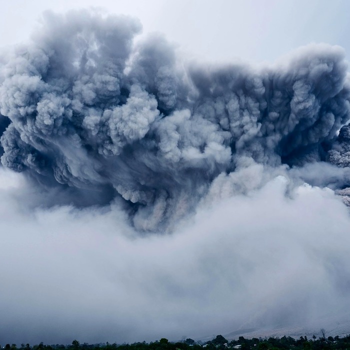 인위적 재해 사례