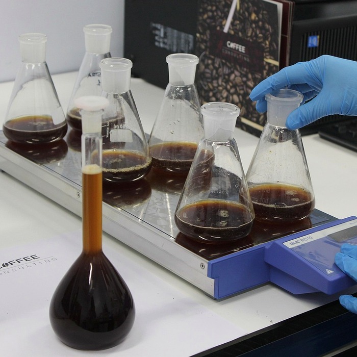 대입 컨설팅 과정