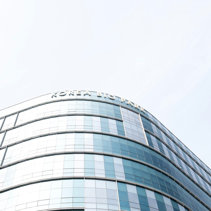 신생 기업 혁신