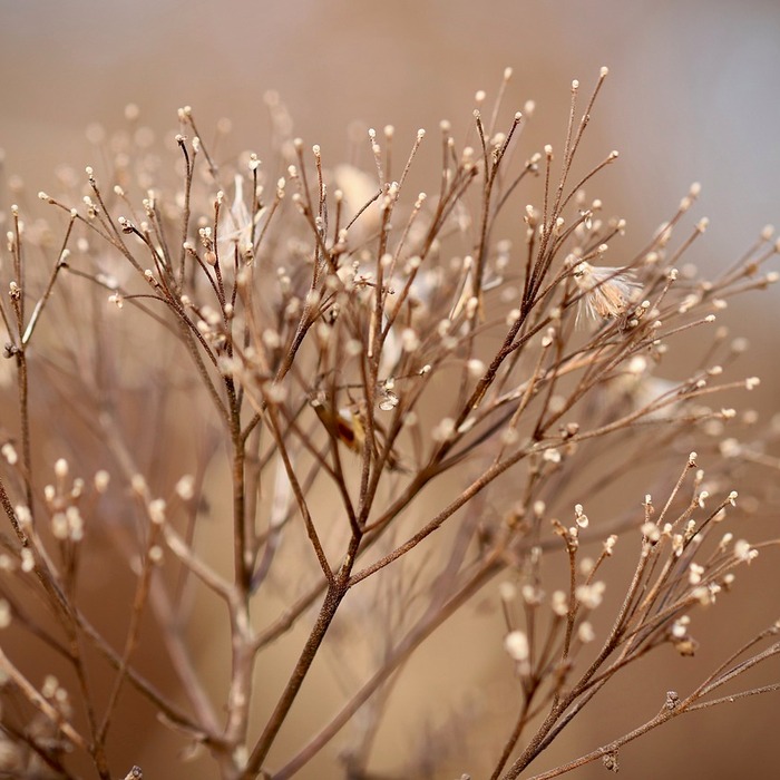 피부 건조 원인