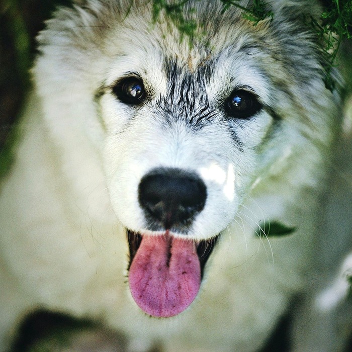 계정 삭제 절차