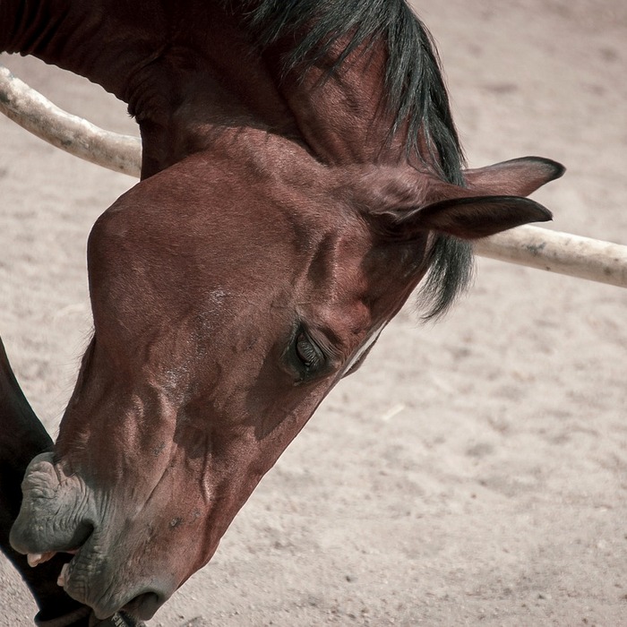 투표율 저조 원인
