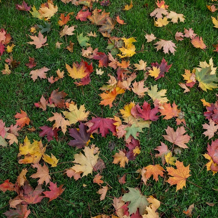 다양한 색상 가방