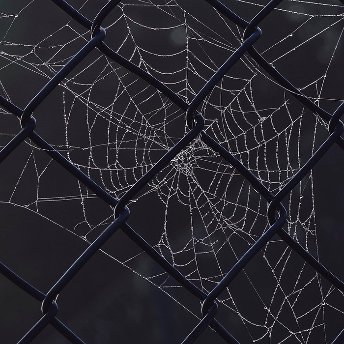 낮은 운용 보수