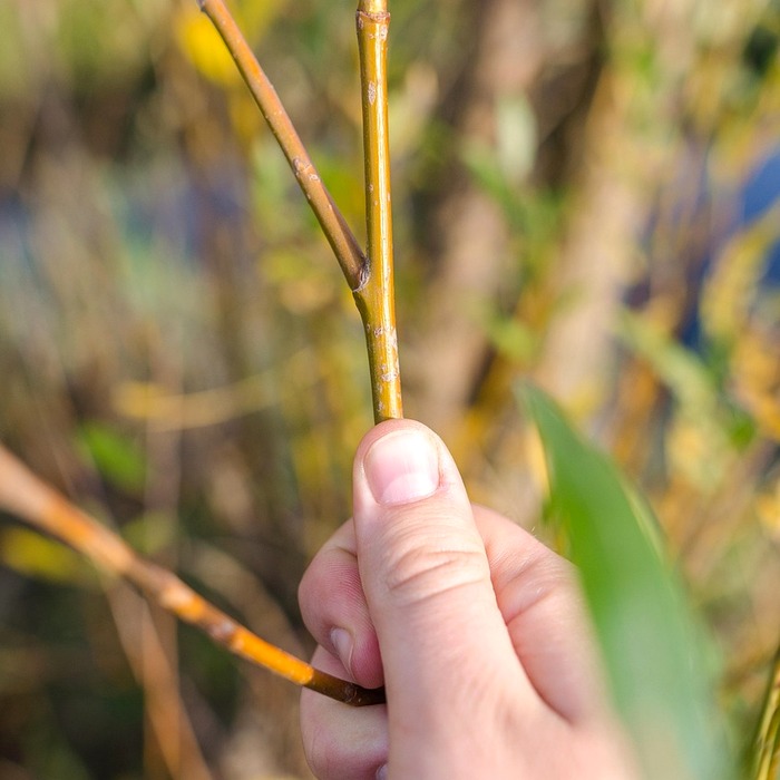 낚시 장비 준비