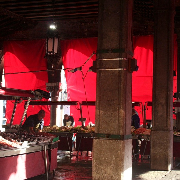 신선한 생선 선택