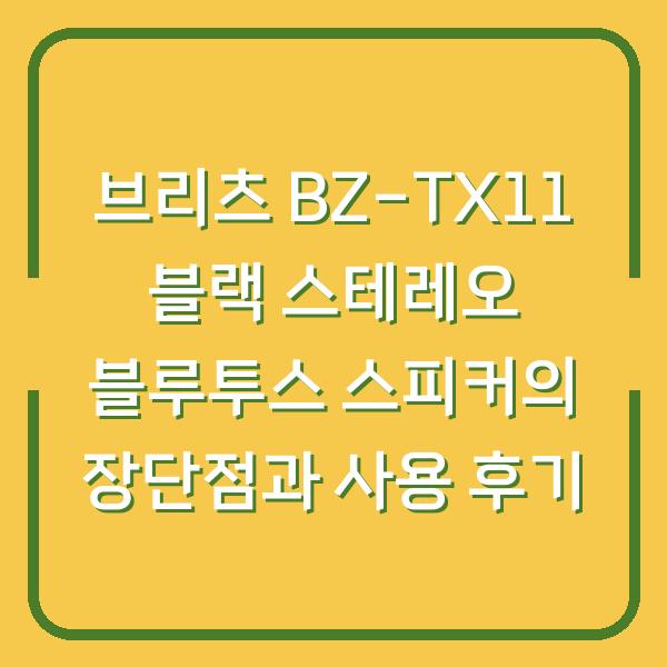 브리츠 BZ-TX11 블랙 스테레오 블루투스 스피커의 장단점과 사용 후기