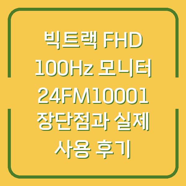 빅트랙 FHD 100Hz 모니터 24FM10001 장단점과 실제 사용 후기